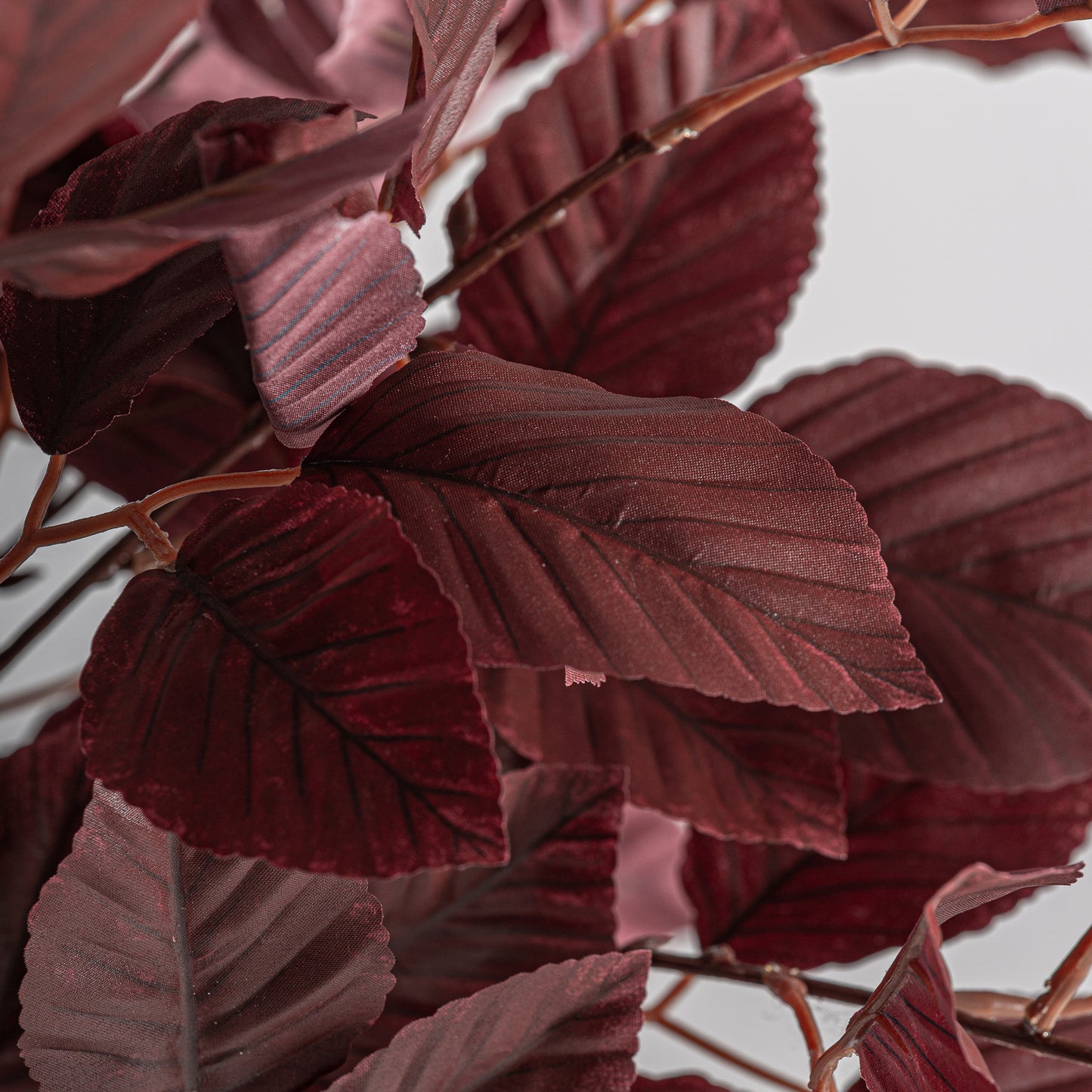 FN=VI37738_37738-02.jpg;SHA256=0dd51e8ad2144ab33dd89ee0cd9ab471c9dd7bb857f47b686257b8c9ae6ff78b