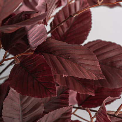 FN=VI37738_37738-02.jpg;SHA256=0dd51e8ad2144ab33dd89ee0cd9ab471c9dd7bb857f47b686257b8c9ae6ff78b