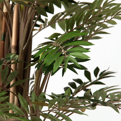 Planta Bambú en Color Verde - Plantas - Granada Maison