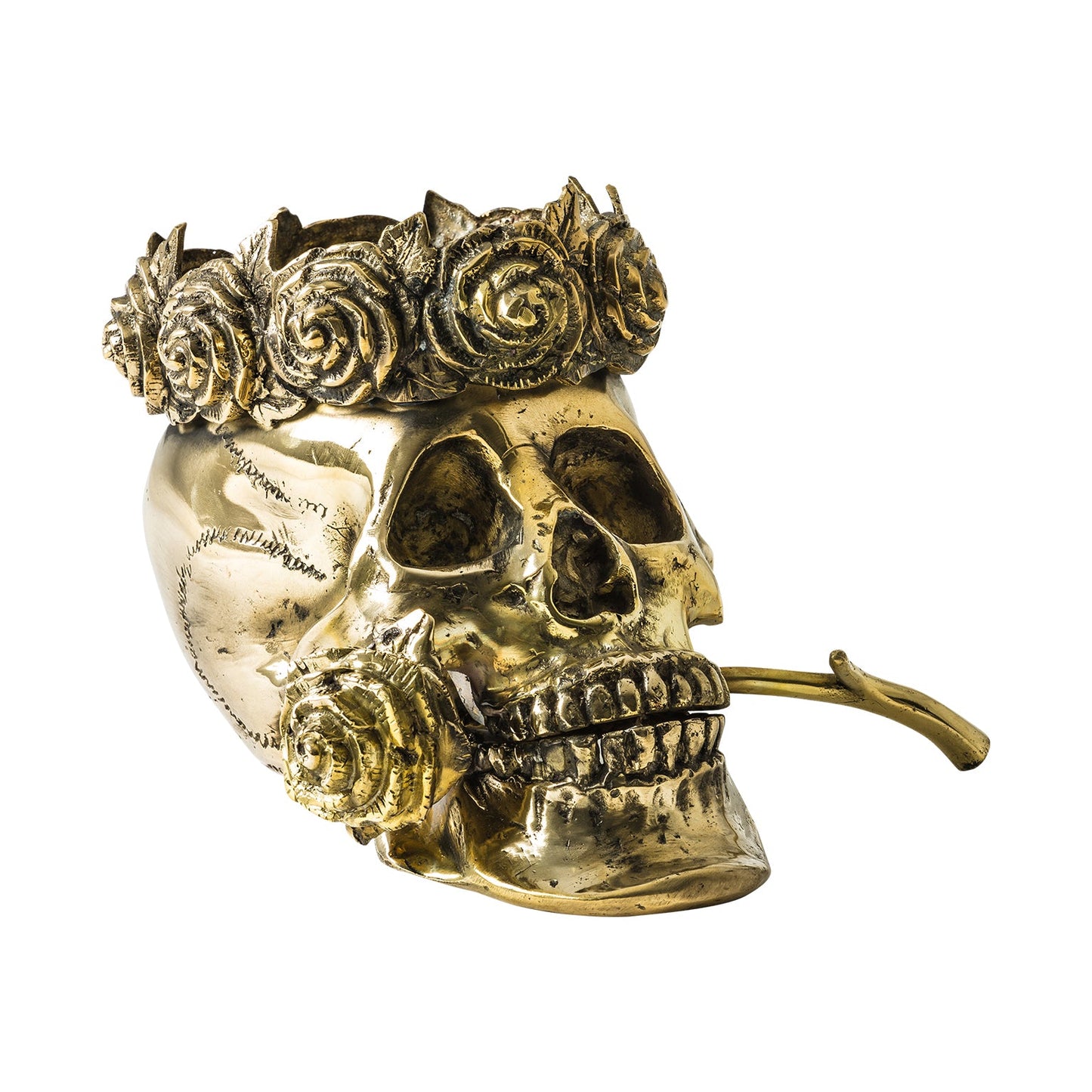 Busto Calavera Corona en Color Oro