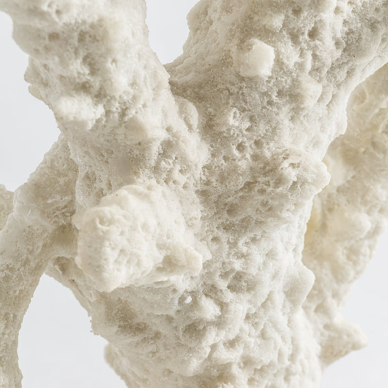 Fósil Coral en Color Blanco - Figuras y Esculturas Decorativas - Granada Maison