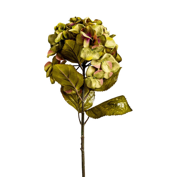 Flor Hortensia en Color Verde