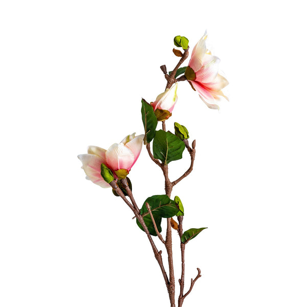 Flor Yulan en Color Blanco/Rosa - Plantas/Flores/Cañas Decorativas - Granada Maison
