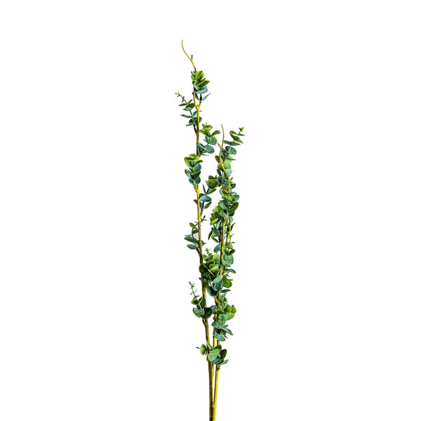 Planta Ramas en Color Verde - Plantas/Flores/Cañas Decorativas - Granada Maison