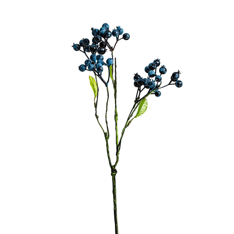 Plant in Blue Colour