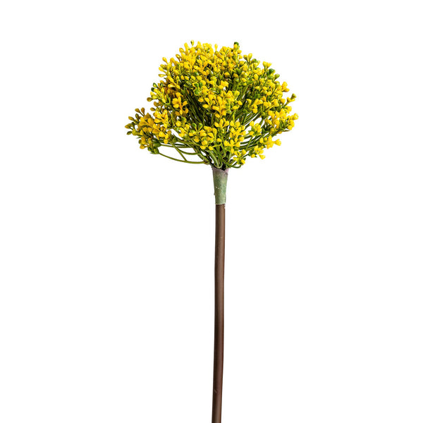 Planta Allium en Color Amarillo - Plantas/Flores/Cañas Decorativas - Granada Maison