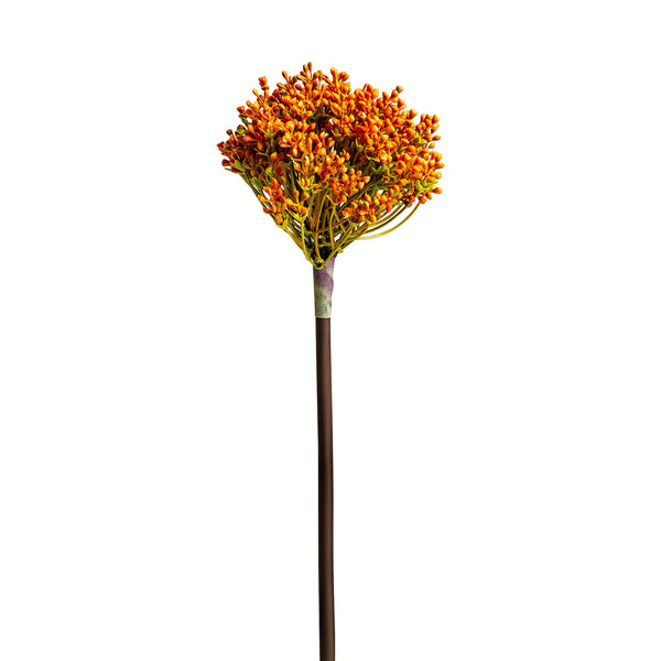 Planta Allium en Color Naranja - Plantas/Flores/Cañas Decorativas - Granada Maison