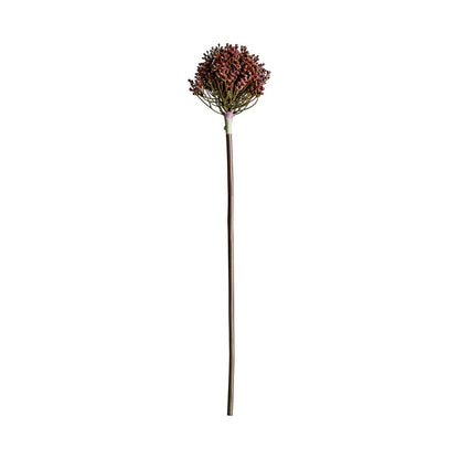 Planta Allium en Color Morado