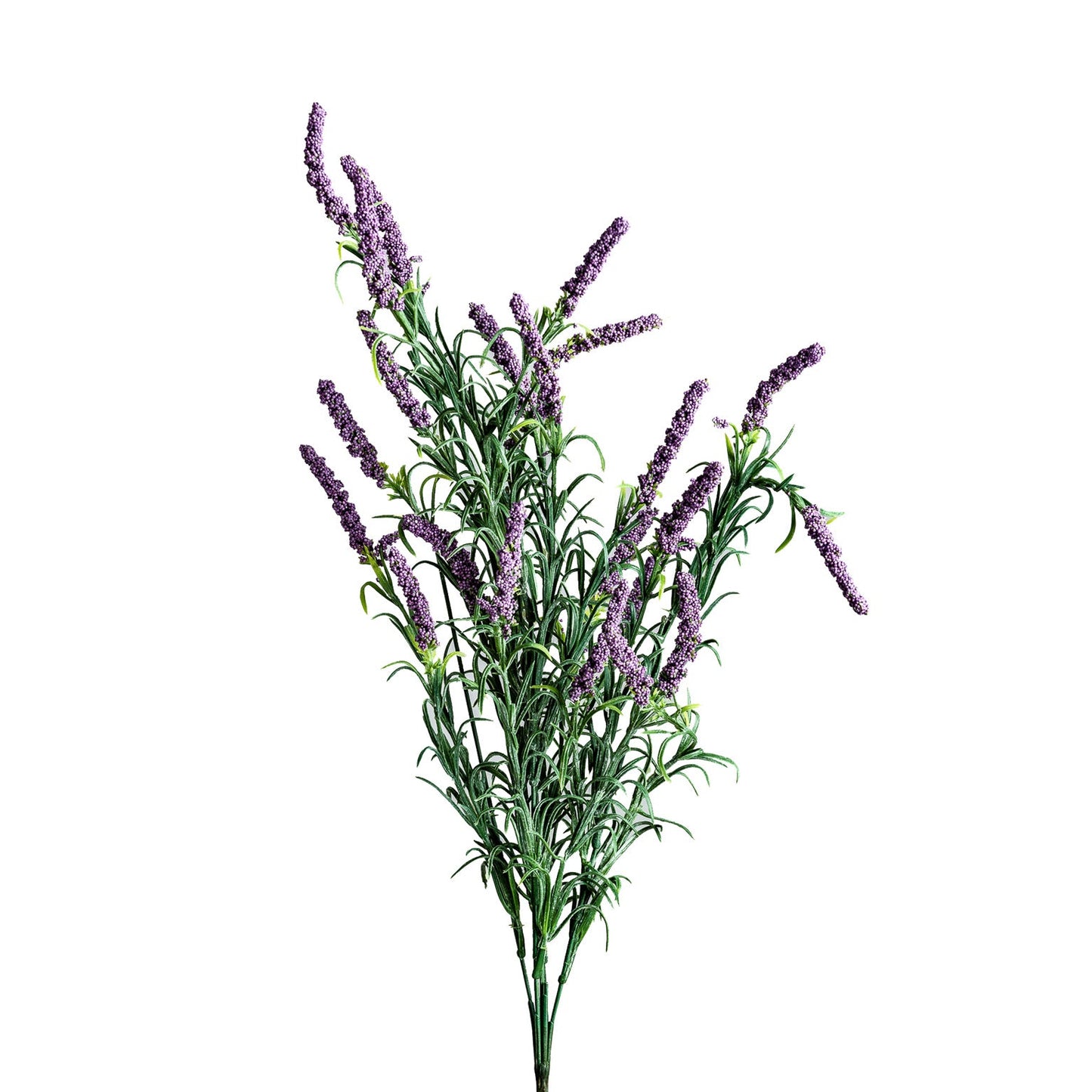 Lavanda Flower in Mulberry Colour