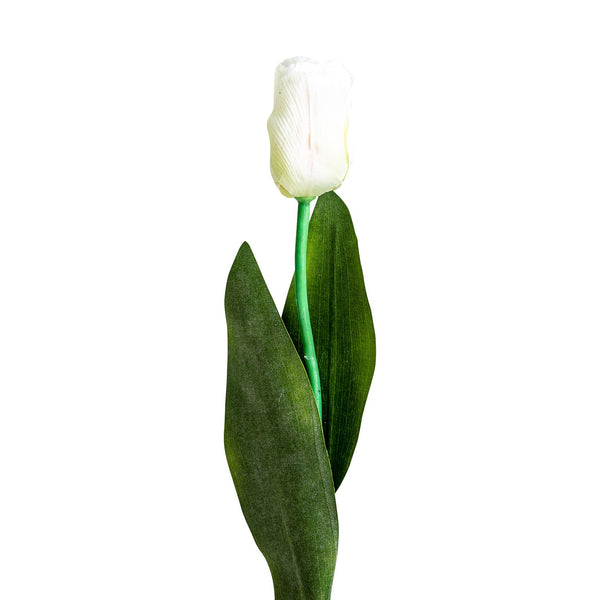 Flor Tulipan en Color Blanco