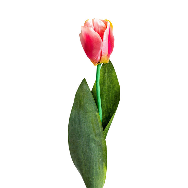Flor Tulipan en Color Rosa - Plantas/Flores/Cañas Decorativas - Granada Maison