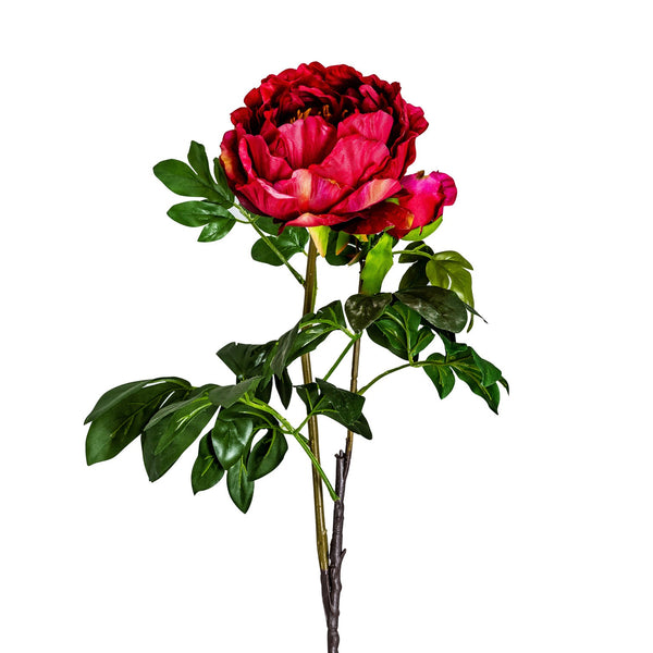 Flor Peonia en Color Rojo - Plantas/Flores/Cañas Decorativas - Granada Maison