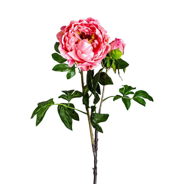 Flor Peonia en Color Rosa - Plantas/Flores/Cañas Decorativas - Granada Maison