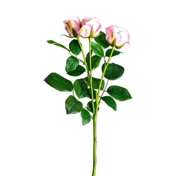 Planta Rosal en Color Rosa - Plantas/Flores/Cañas Decorativas - Granada Maison