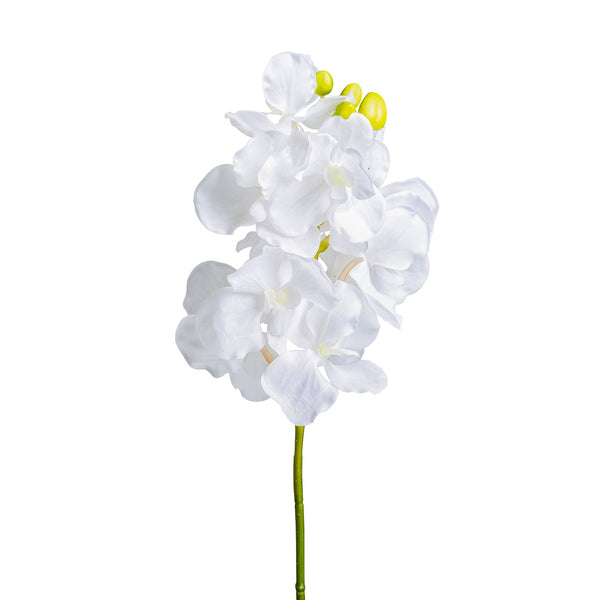 Flor Azahar en Color Blanco - Plantas/Flores/Cañas Decorativas - Granada Maison