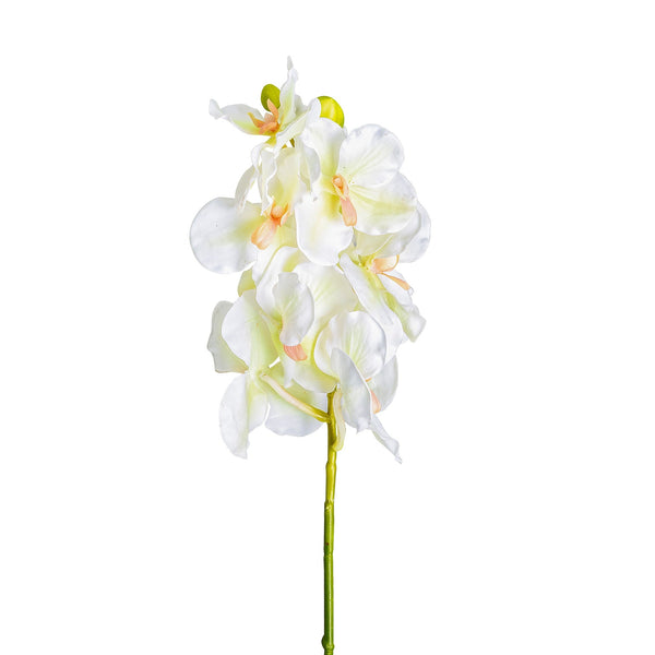 Flor Azahar en Color Blanco - Plantas/Flores/Cañas Decorativas - Granada Maison