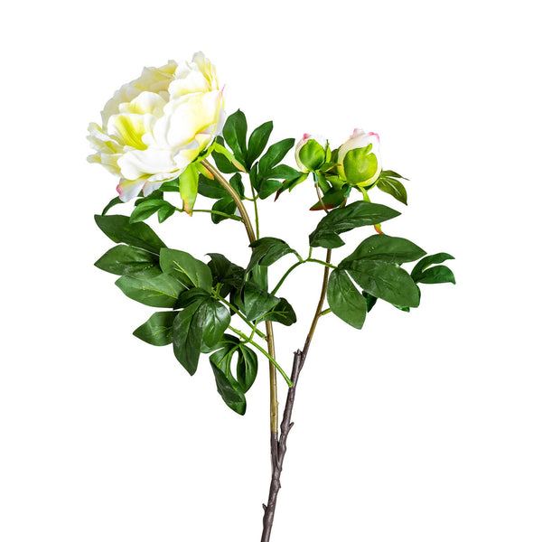 Flor en Color Blanco - Plantas/Flores/Cañas Decorativas - Granada Maison