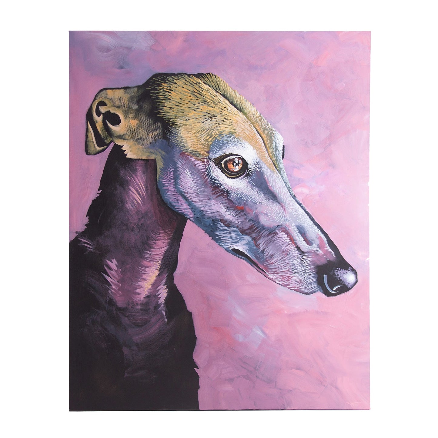 Lienzo Galgo en Color Rosa