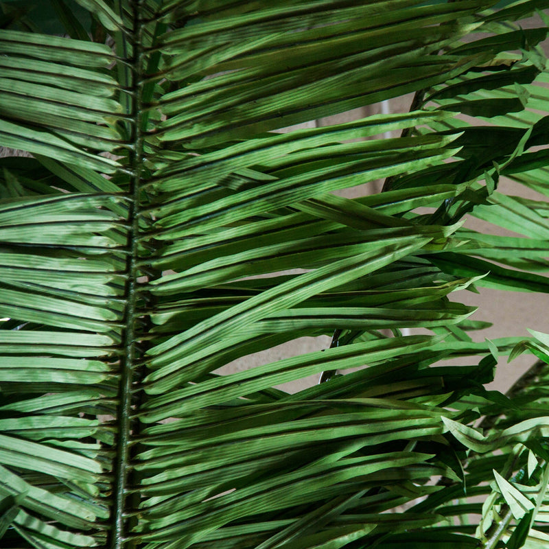 Planta Palmera en Color Verde