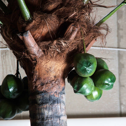 Palmera Plant in Green Colour