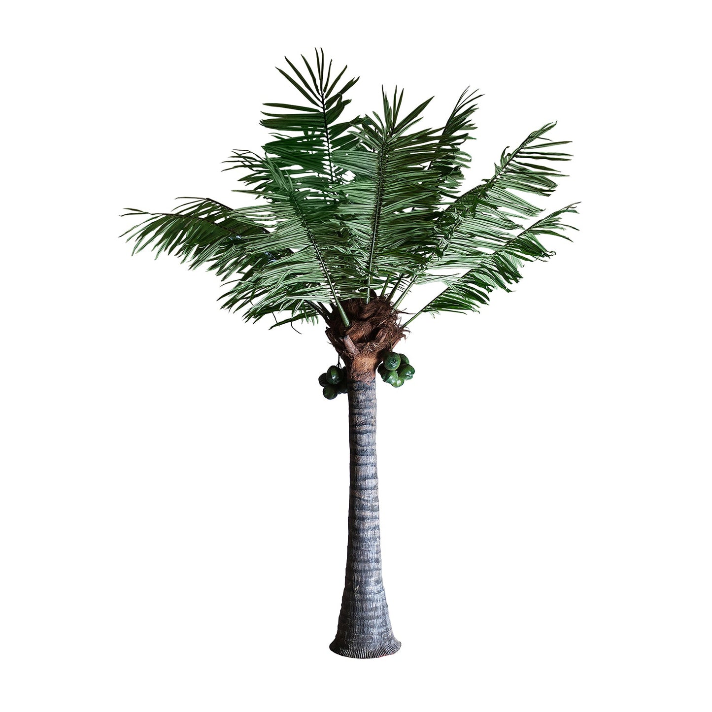 Palmera Plant in Green Colour