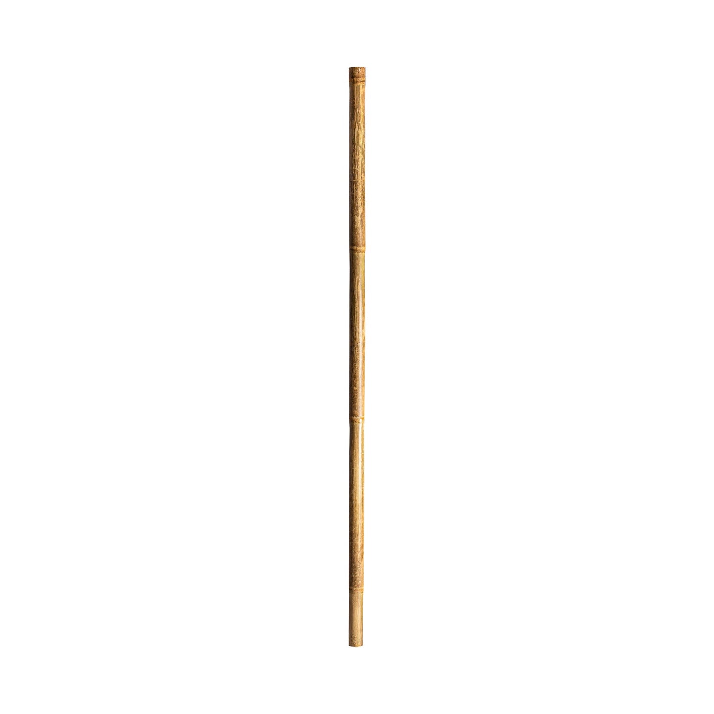 Decorative Cane in Natural Colour