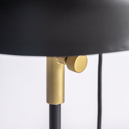 Floor Lamp in Black/Gold Colour