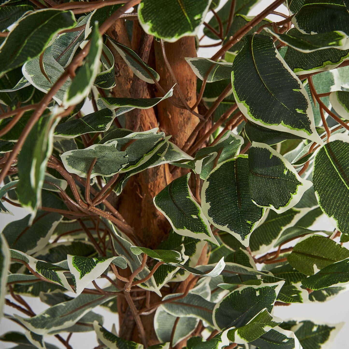 Planta Ficus en Color Verde - Plantas artificiales decorativas - Granada Maison