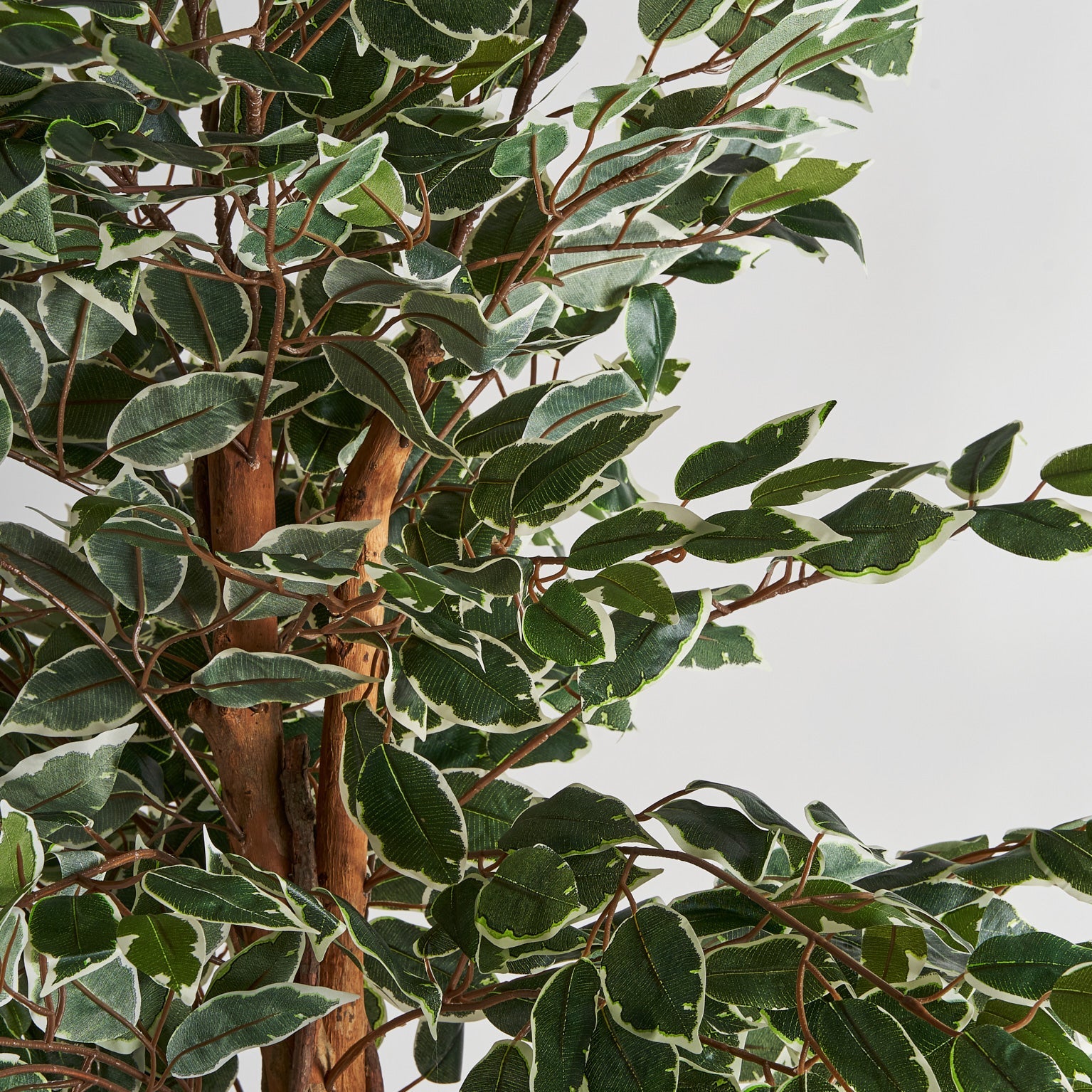 Planta Ficus en Color Verde - Plantas artificiales decorativas - Granada Maison