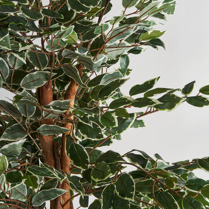 Planta Ficus en Color Verde - Plantas artificiales decorativas - Granada Maison