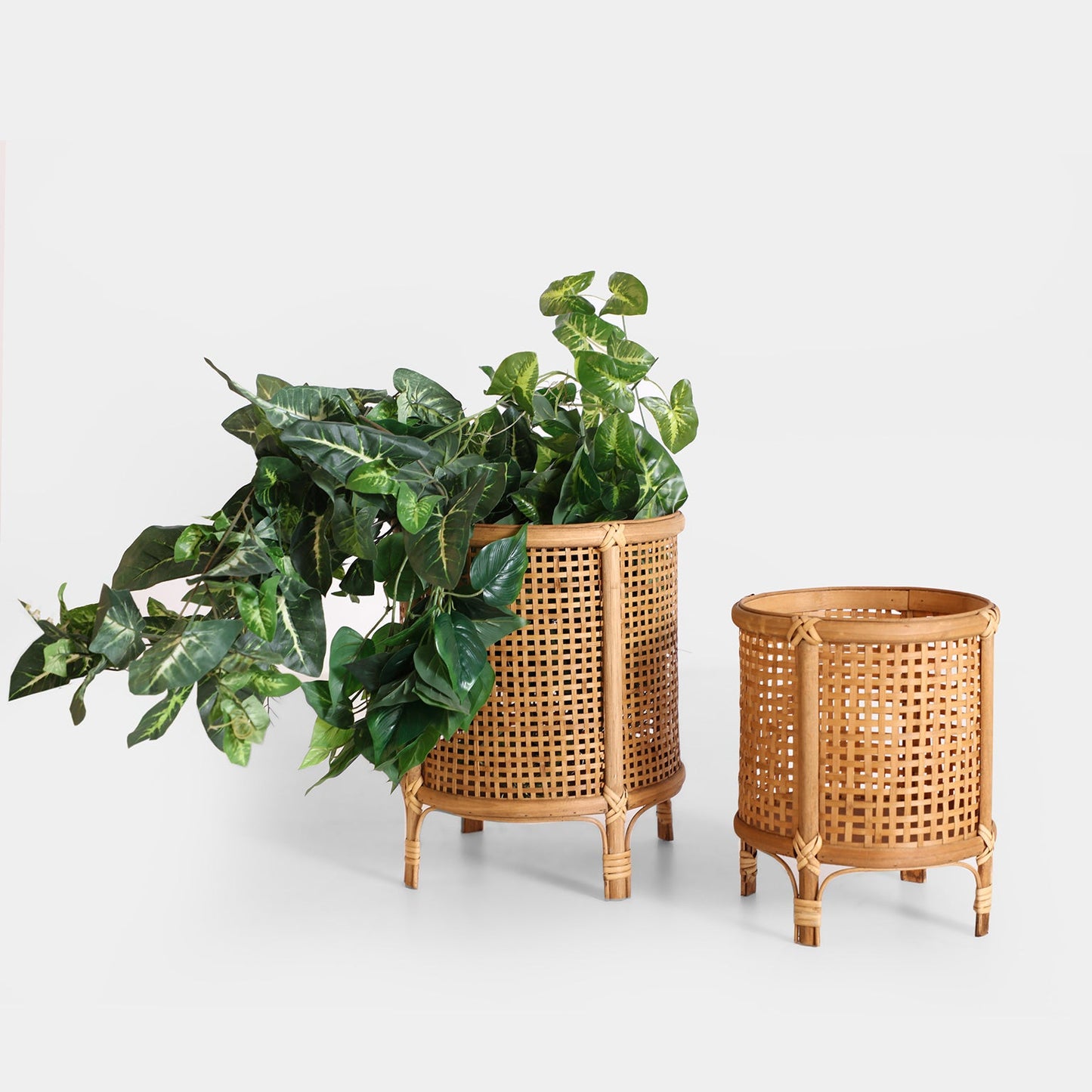 Arteaga Plant Pot (Set Of 2) in Natural Colour