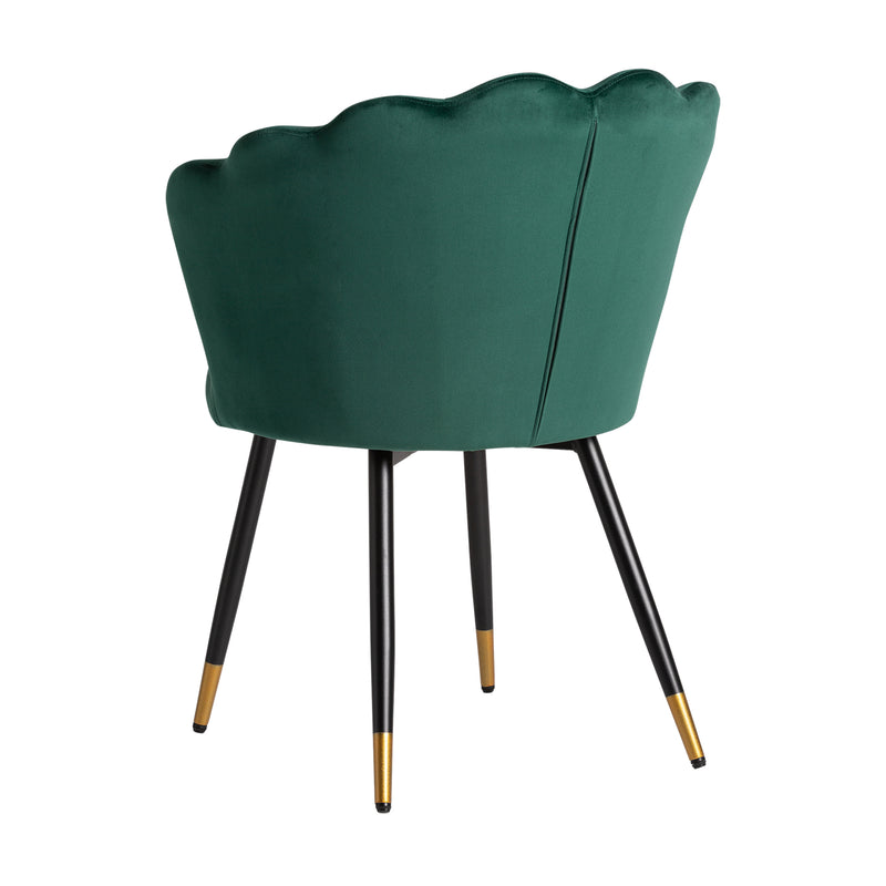 Lucens Chair in Green Colour