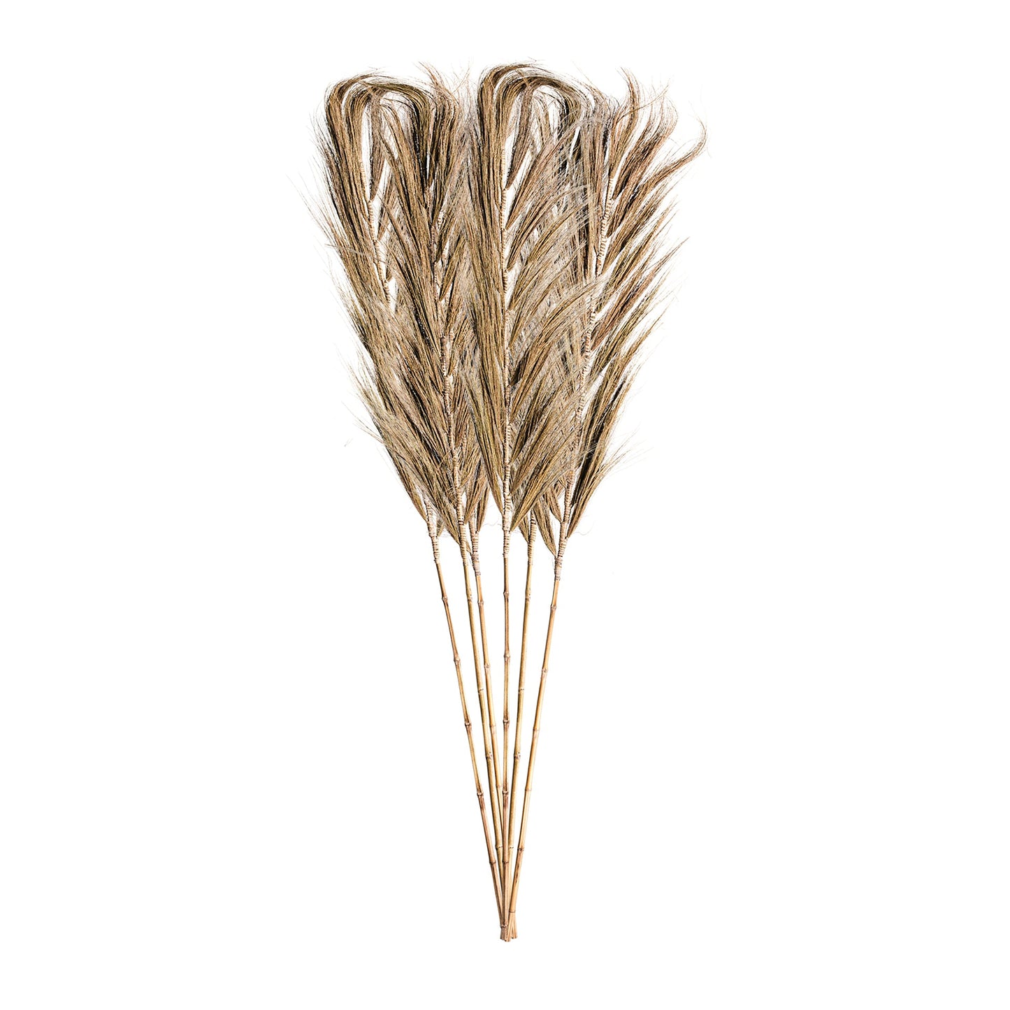 Decaration Branch (Set Of 6) in Natural Colour