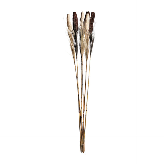 Decaration Branch (Set Of 6) in Black/Natural Colour